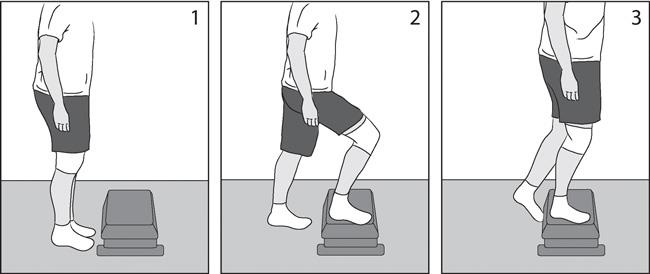 Step-Up Exercise