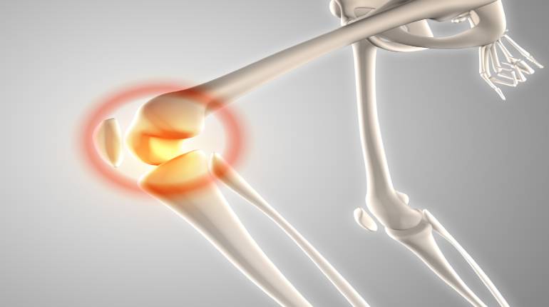 Best Joint Replacement Surgery for you