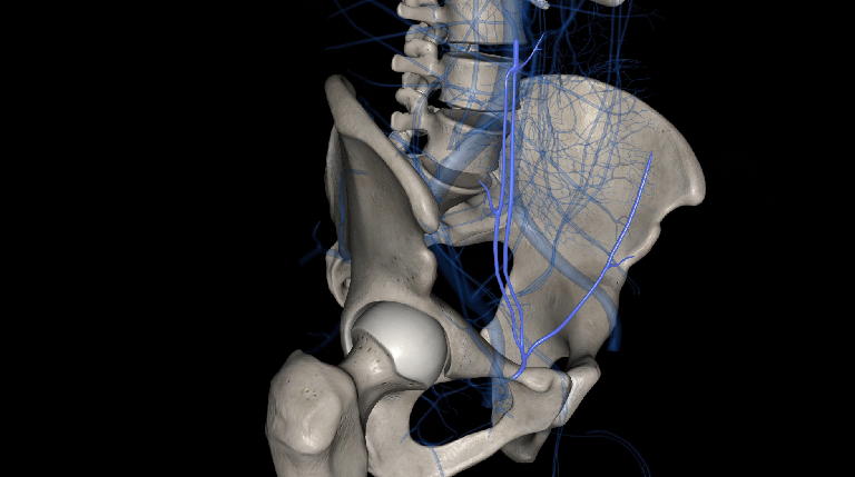 Robotics and the future of Orthopaedics: how advanced technology is intricately tied to musculoskeletal health